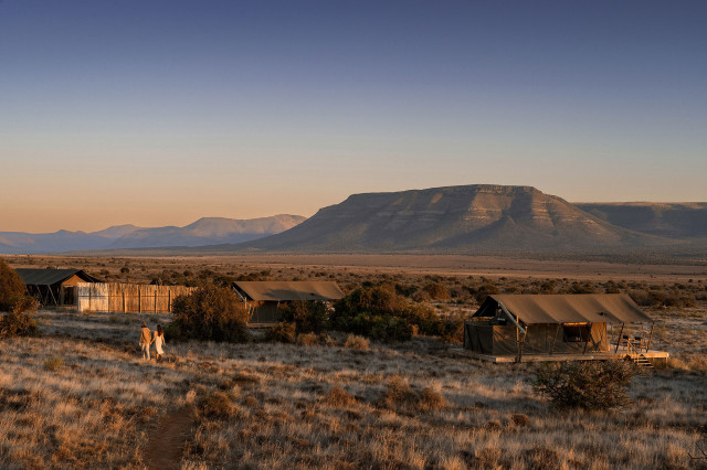 safari camp in south africa with tents 