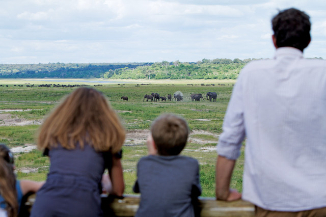 people staring at elephants at chobe game lodge