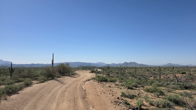 desert photo of Phoenix 