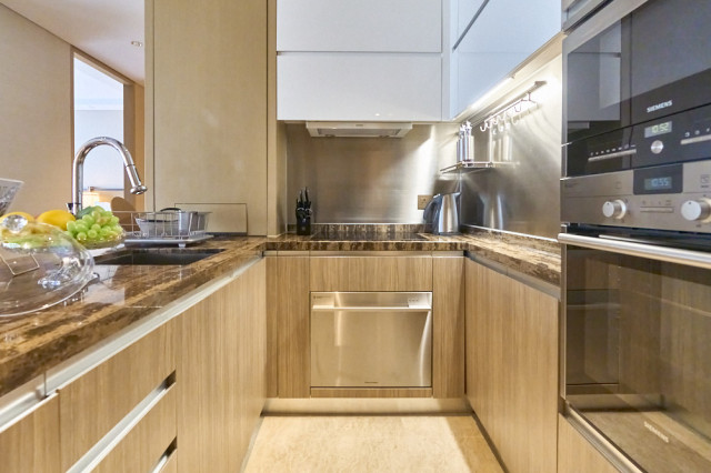 luxurious apartment kitchen