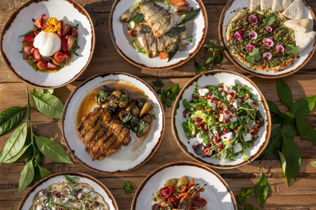 an array of restaurant plates with food on table 