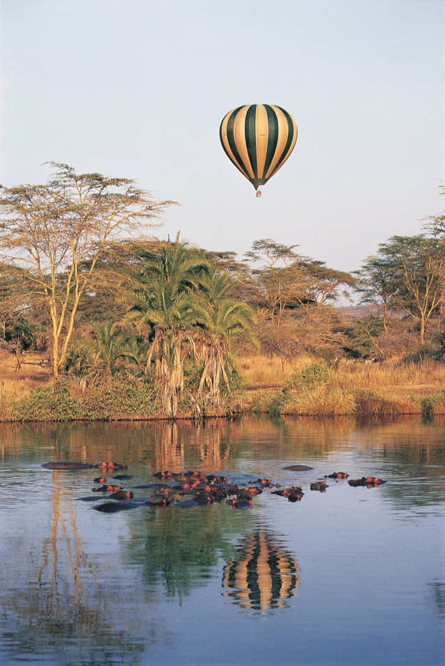 Ballon safari, hippos