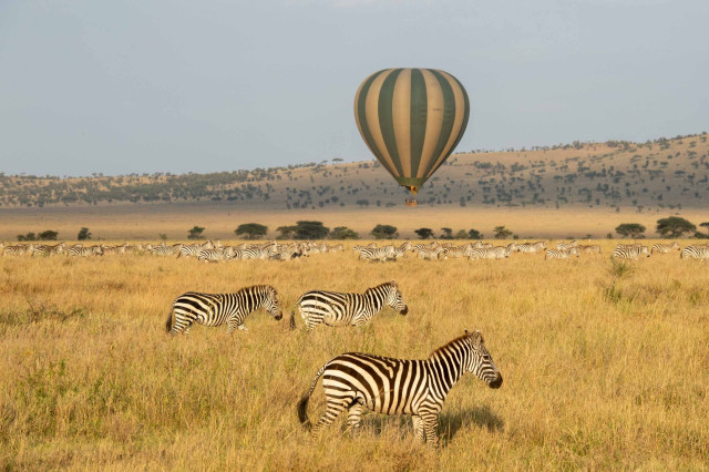 Balloon safari overlooking the Zebra's