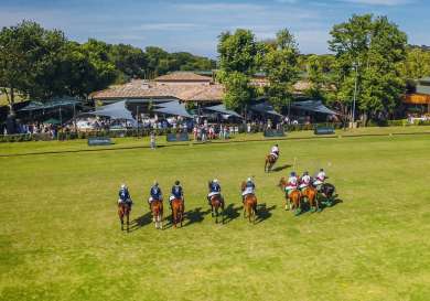 British polo.