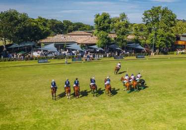 British polo.