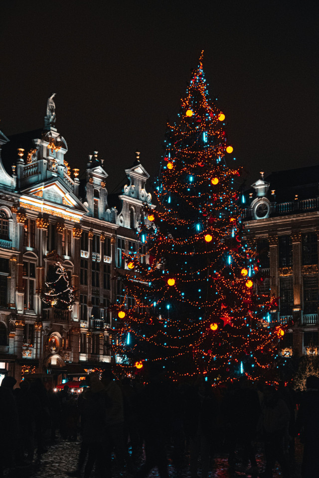 nighttime photo of christmas tree in central Brussels 