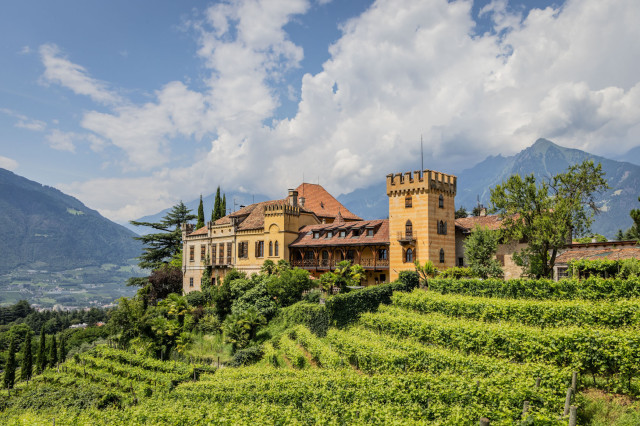 family wine estate on hill 