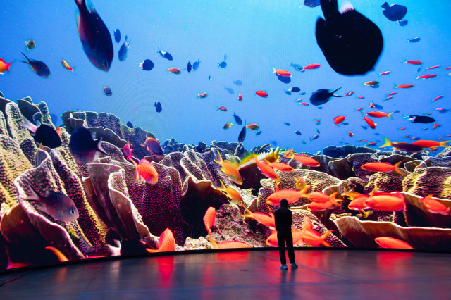 the dorrance dome with image of fish swimming amongst coral 