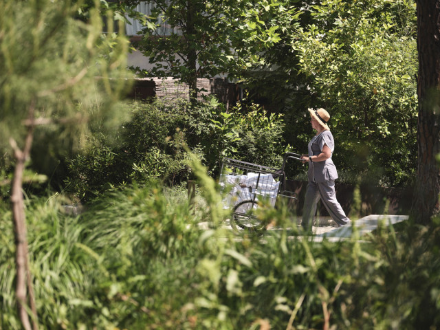 person pushing laundry through hotel garden
