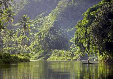 A small boat floats on a calm river. A person is standing in it, surrounded by dense, lush green rainforest with towering trees and foliage under soft sunlight.