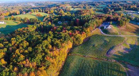 Aerial image of farm.