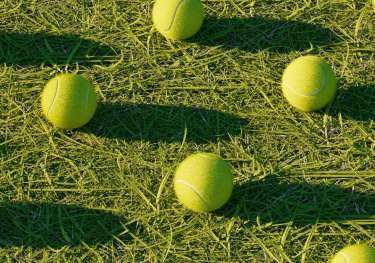 Alexander mils 7tsxahp9buk unsplash.