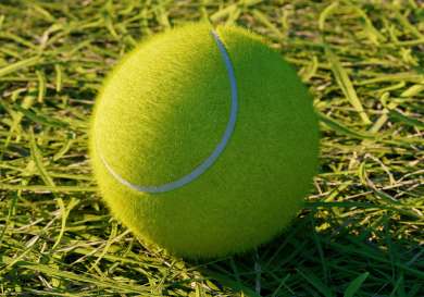 Alexander mils djn7dvsa2ke unsplash.