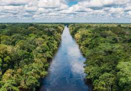 Amazon river landscape.
