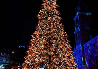 Large lit up Christmas tree at night.