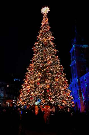 Large lit up Christmas tree at night.