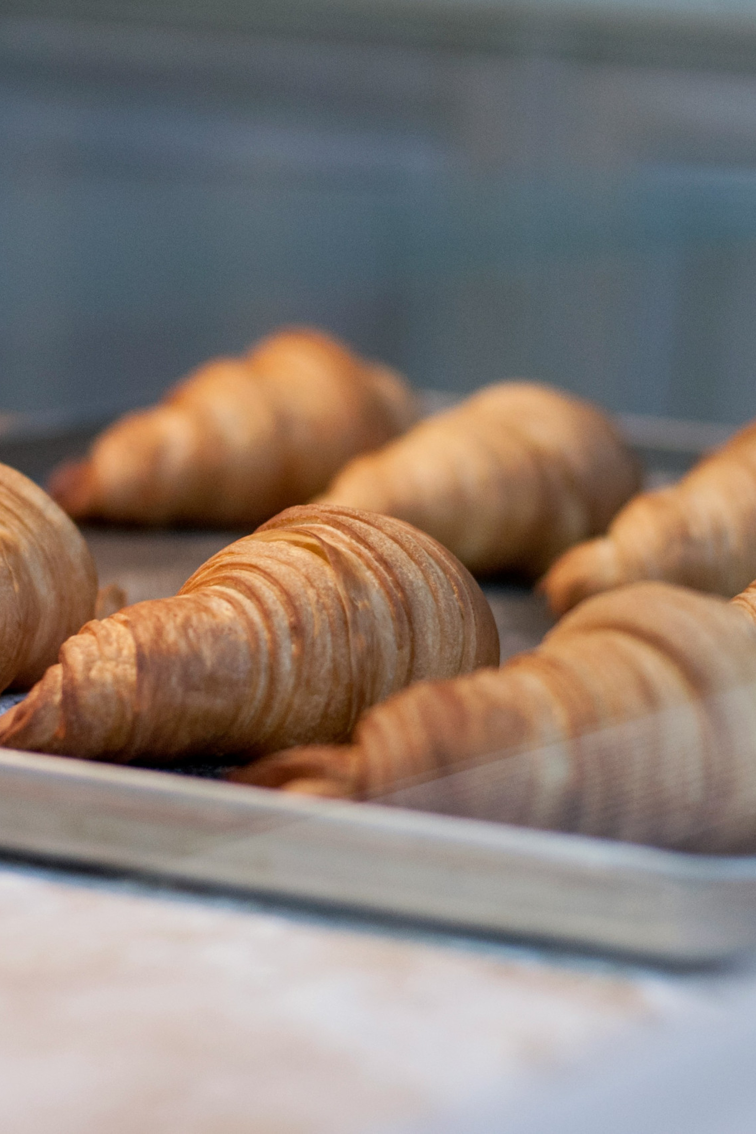 baked croissants on a metal tray 