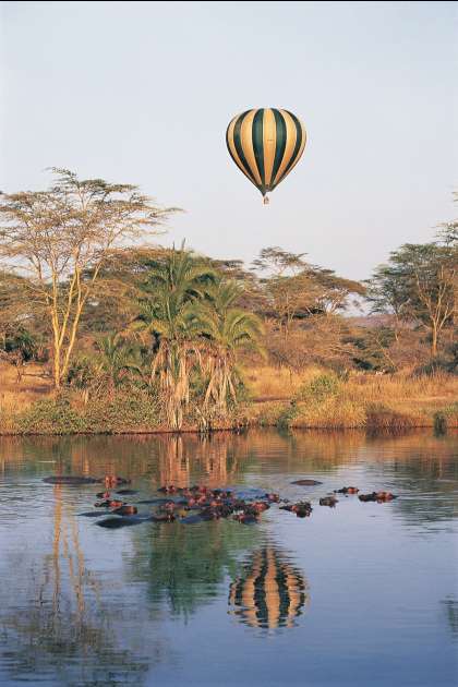 Balloon safari.