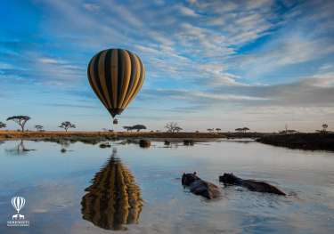 Balloon and hippo2.