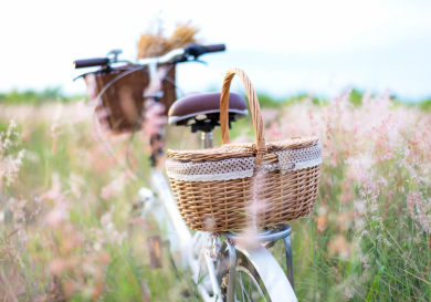 Bike.