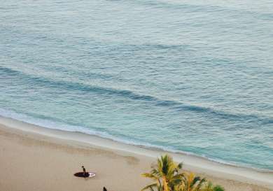 Brandon cormier nkax3iirjwm unsplash.