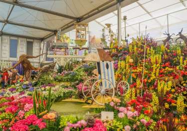 Chelsea flower show 1744638474.