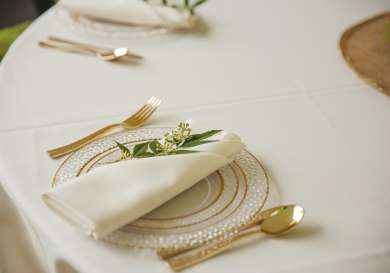 Table setting with napkin, plate and cutlery .