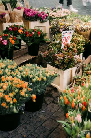 Flower sellers in copenhagen.