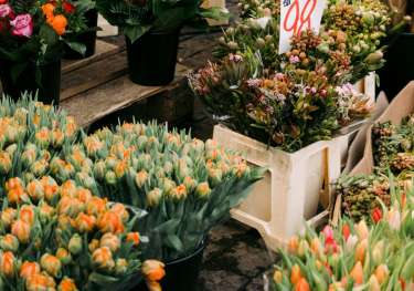 Flower sellers in copenhagen.