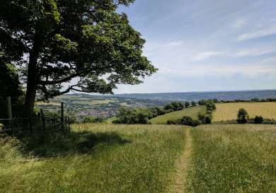 Field in the cotswolds.