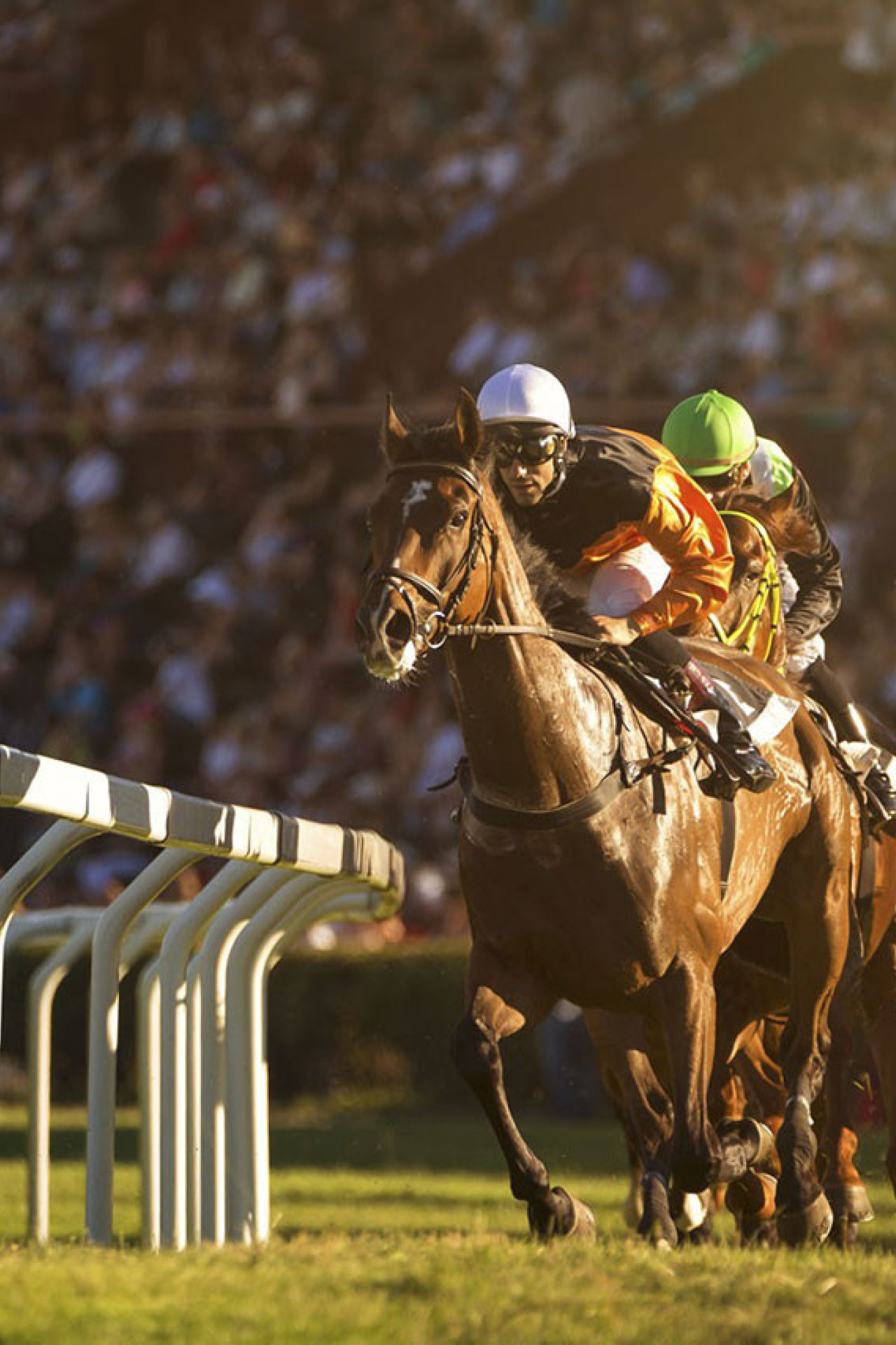 dubai-world-cup-2022.jpg