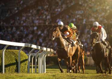 Dubai world cup 2022.