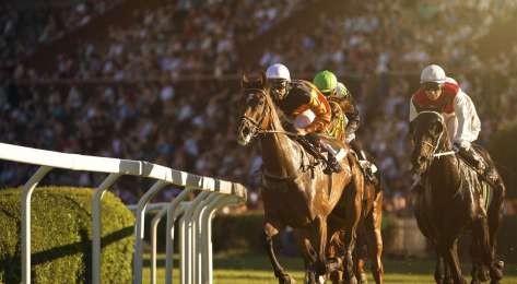 Dubai world cup 2022.