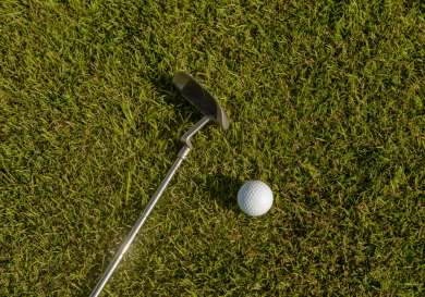 Golf club sitting next to a golf ball on grass.