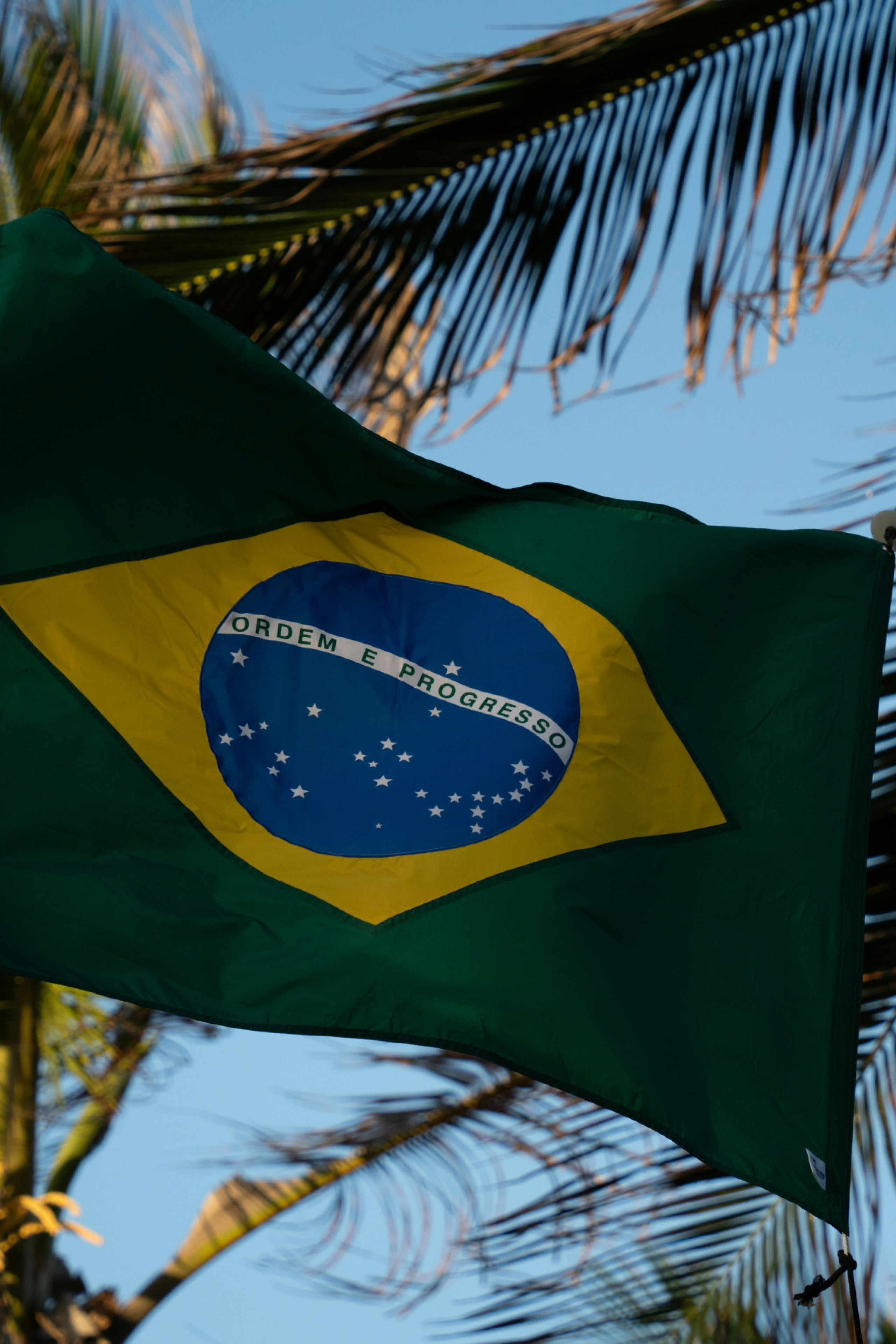Brazil Flag