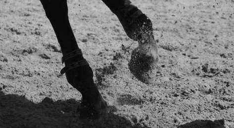 Black and white photo of horses feet.