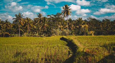 Ines alvarez fdez fgy15vwivoo unsplash.