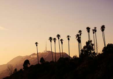 Hollywood sign on hill with palm trees.