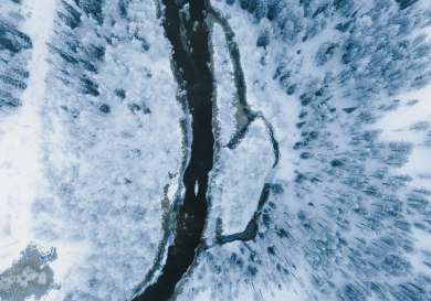 Jackson hole aerial view of snowy trees.