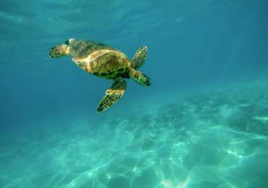 Jeremy bishop gipgxe2_ct4 unsplash.