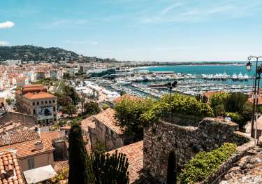 Yachts in Cannes.