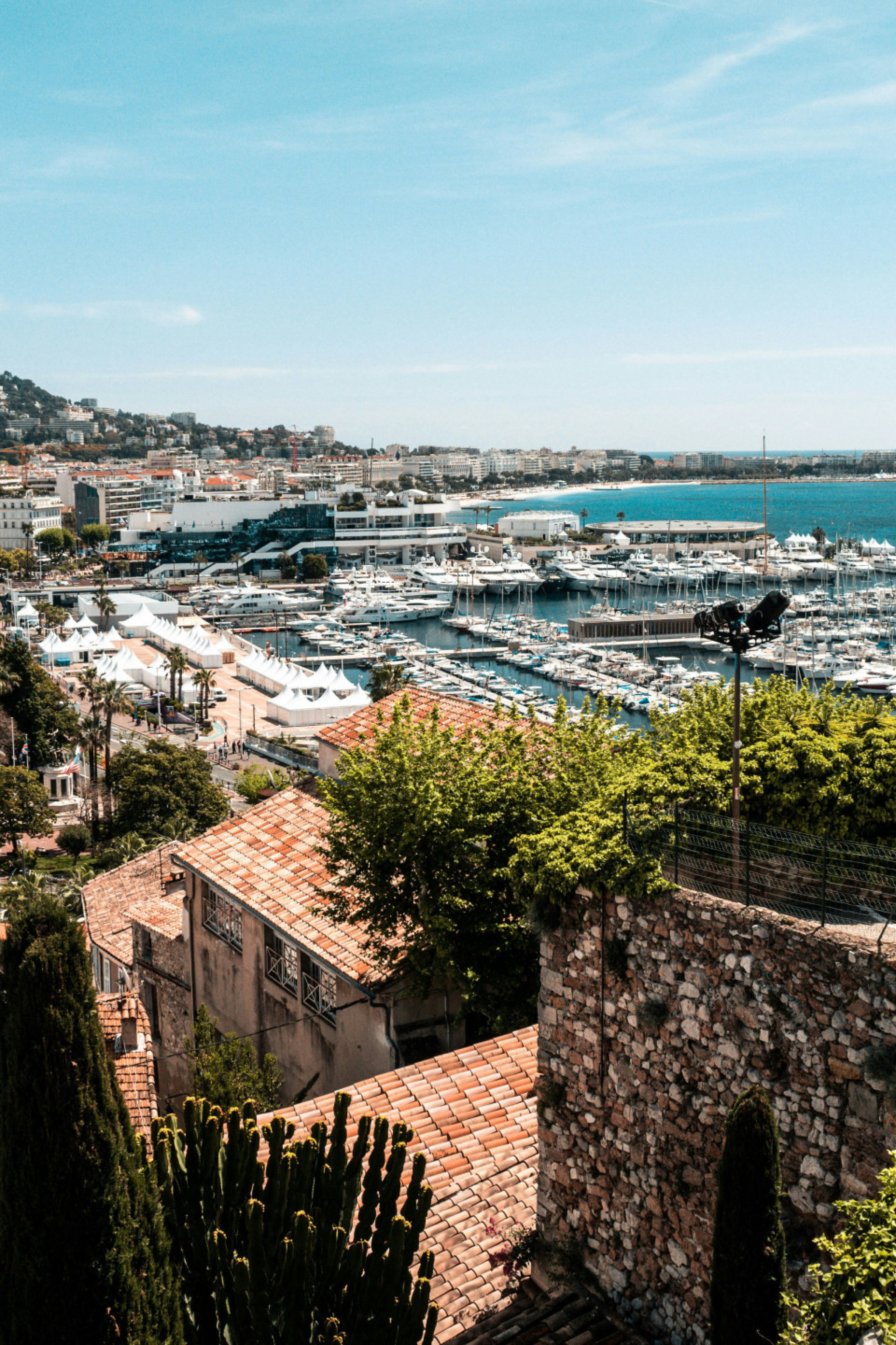 Yachts in Cannes