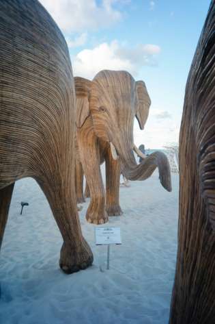 Karl moore i00deesmape unsplash 1781188621.