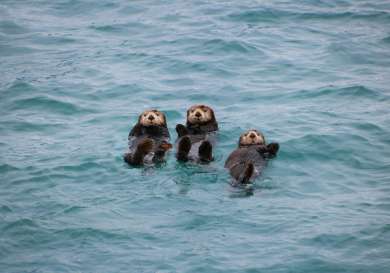 Kedar gadge x9cbhepo6lu unsplash.