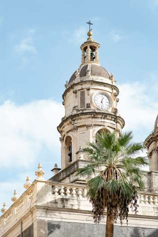 A clock tower with a palm tree in front of it.