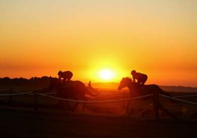 Horse racing at sundown.