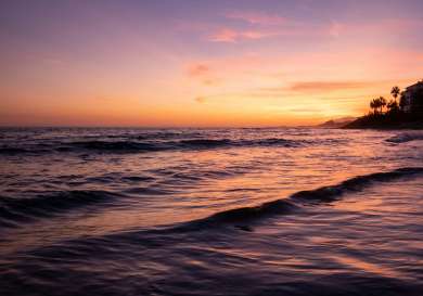 Marbella beach at sunset.