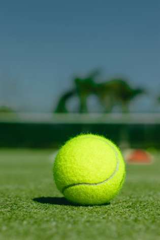 Tennis ball on court with blurry palm trees in background.