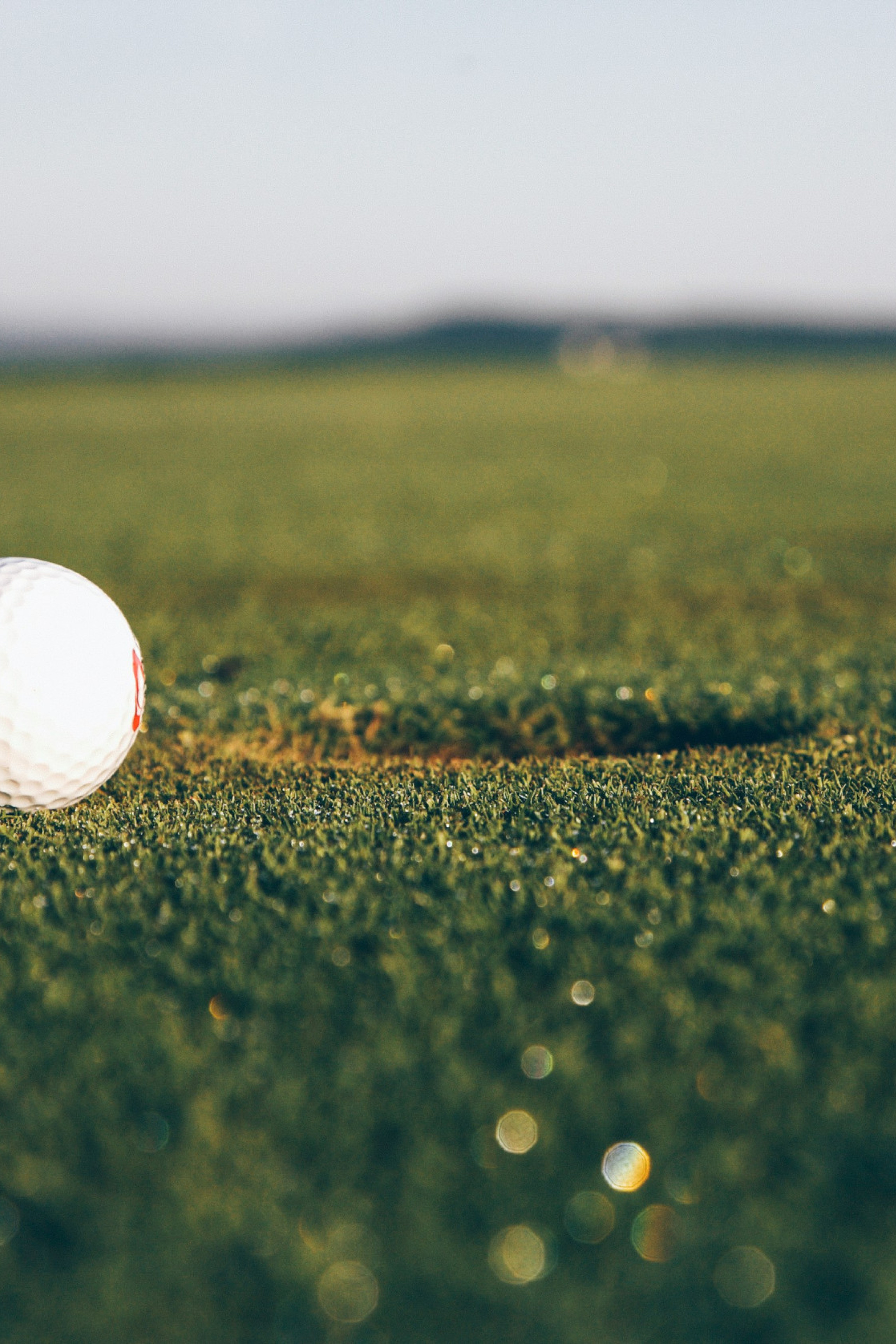 golf ball sitting next to a hole on a golf couse