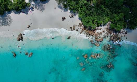 Michaela rimakova rfdg9xhcbre unsplash.